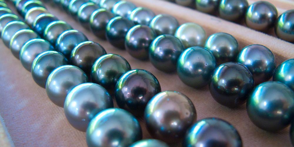 Les perles noires de Tahiti, remarquables gemmes de Polynésie française –  CASOAR │ Arts et Anthropologie de l'Océanie