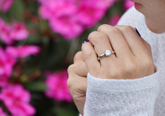 La croisée des chemins