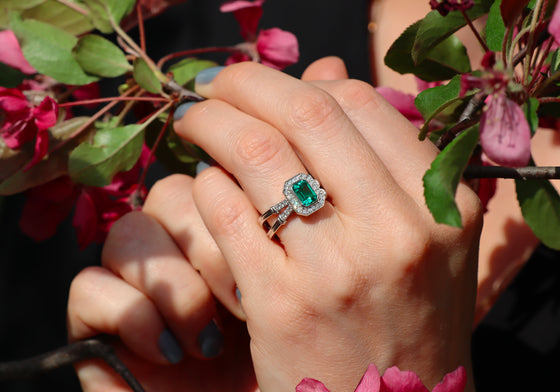 Romance à deux couleur