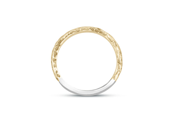 Entre la lune et le soleil (petit)