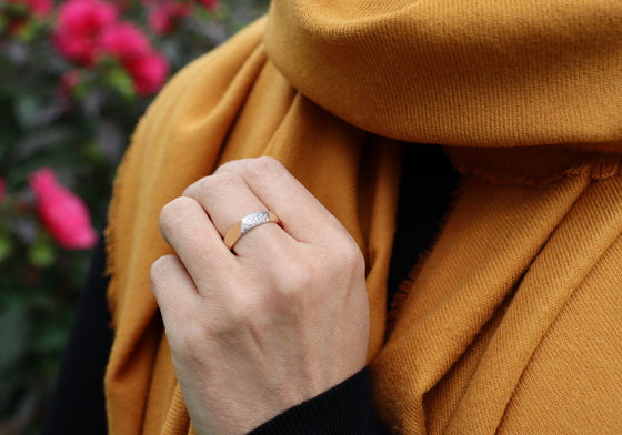 Chasseuse d'étoiles