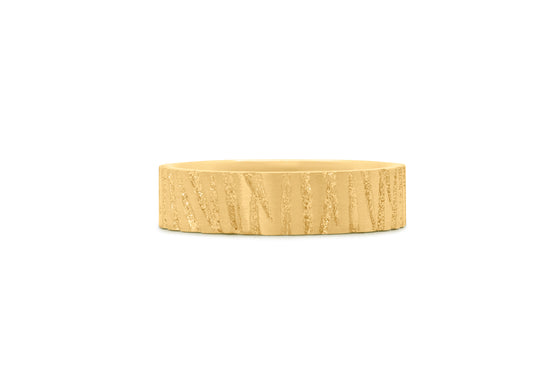 Forêt brossée