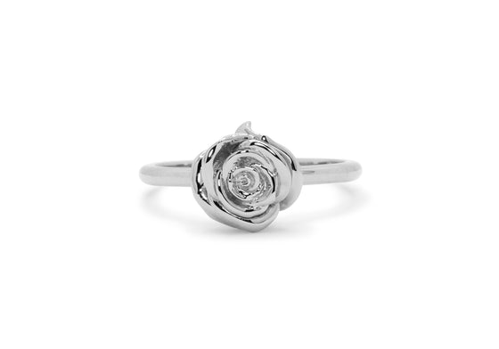 La rose