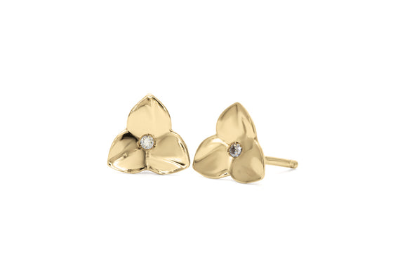 Tite fleur