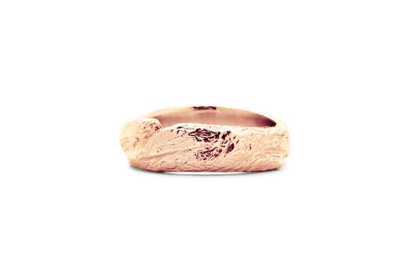 L'aventurier des bois